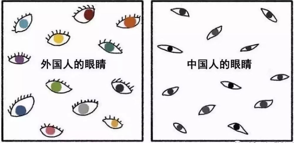 外国人眼中的中国人是怎样的 她的漫画都说清楚了 天天看点