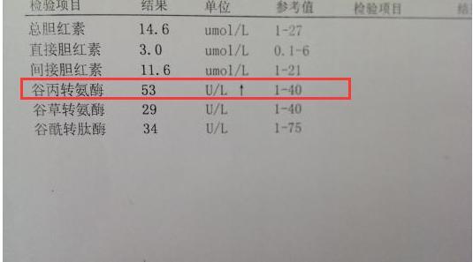 谷丙转氨酶偏高,肝病已在半路等你,一个方子泡
