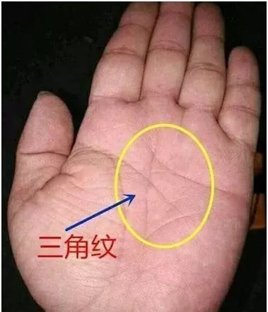 王字纹手相图片