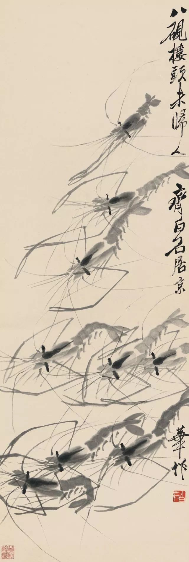 齐白石的九只虾图画图片