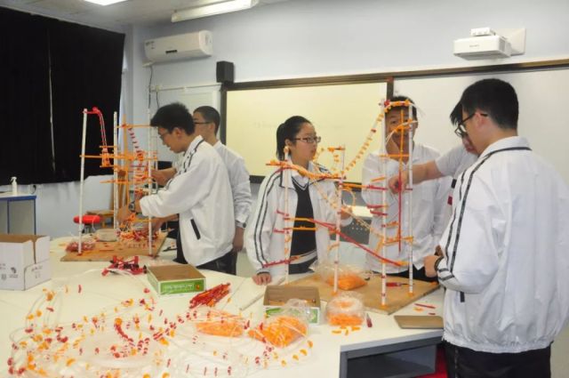 综合素质评价:向高校展现更具实力的自己