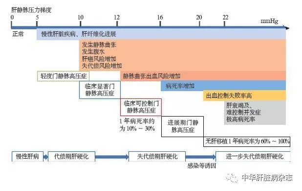 肝静脉压力梯度指导的肝硬化门静脉高压症诊治