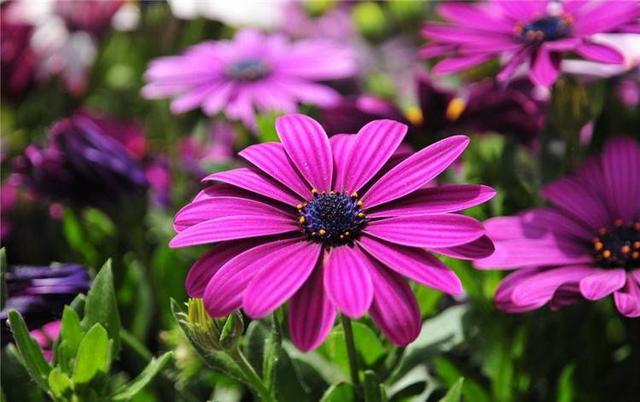 腾讯内容开放平台