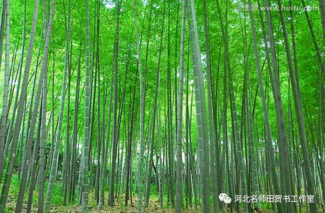 《小石潭记》中第一段,作者为什么要伐竹取道