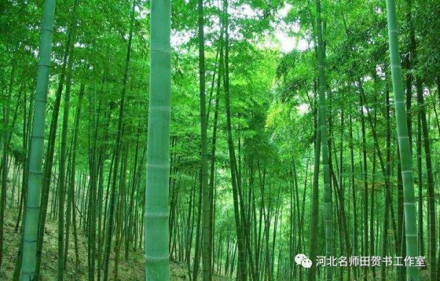 《小石潭记》中第一段,作者为什么要伐竹取道