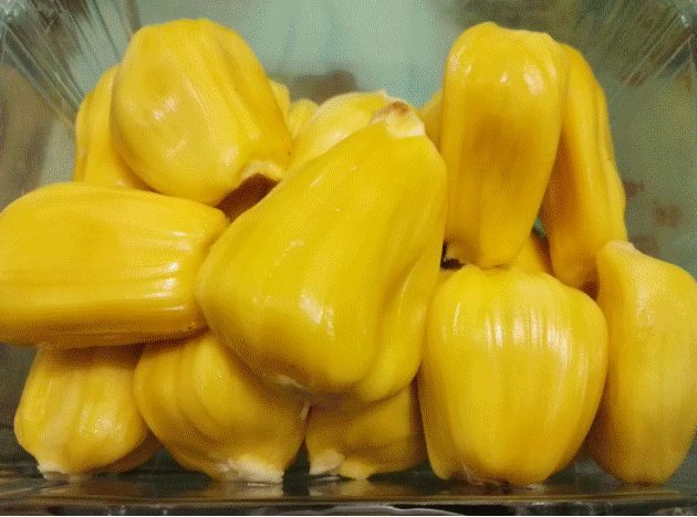 世界上最重的水果菠萝蜜有减肥作用,为什么又