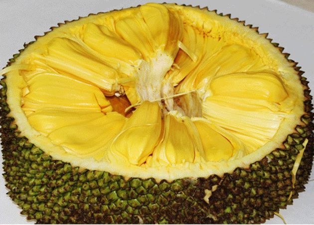 世界上最重的水果菠萝蜜有减肥作用,为什么又