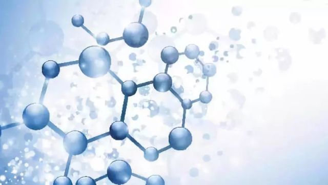 低蛋白血症会带来哪些危害?易出现哪些并发症