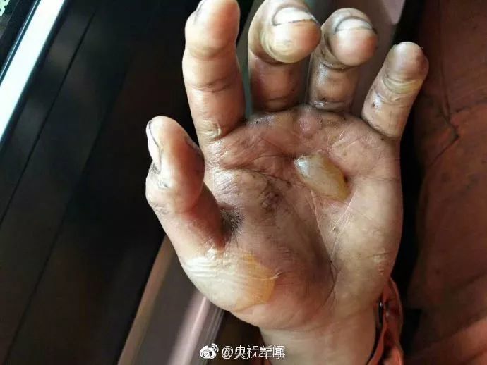 今天致每一双辛勤的双手