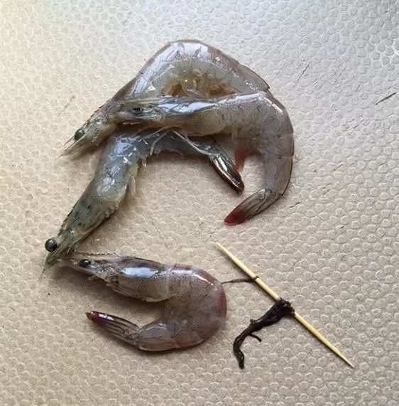 剪掉虾须,从背部第二关键插入牙签,挑出虾线.