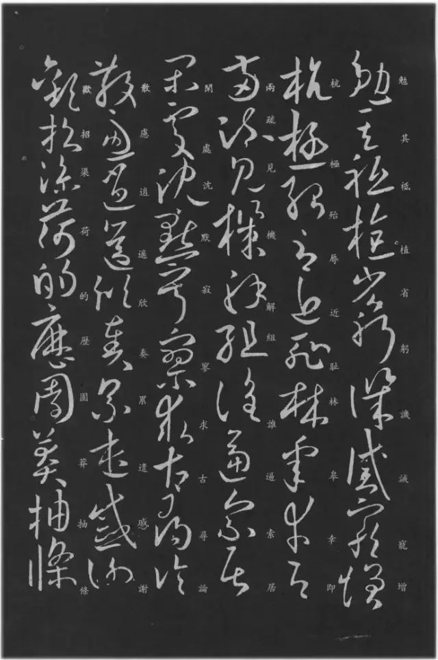 欧阳询|欧阳询曾写过《草书千字文》？！