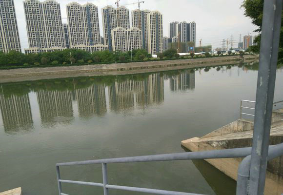 堤防出水口 钓获几十斤 鲶鱼 能吃吗