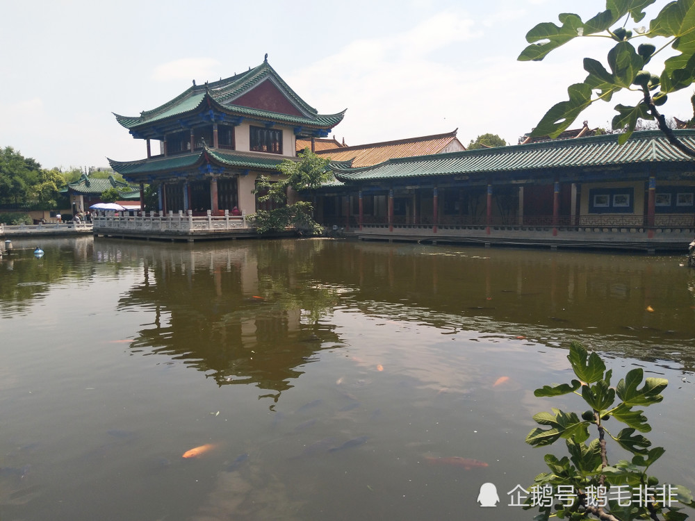 昆明最美丽公园之一的翠湖:历史建筑观鱼楼的鱼儿已在渐渐浑浊的湖水