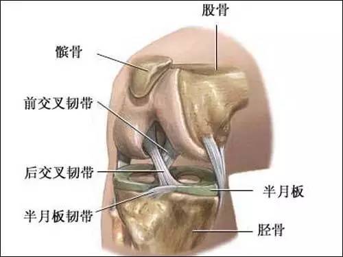 膝盖总疼 15个膝关节锻炼方法 8个康复锻炼术 供你选择 腾讯新闻