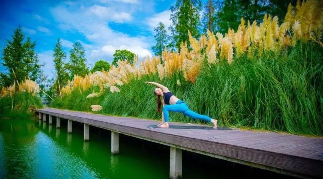 未来乡村旅游"新模式"?田园 养生  康养模式