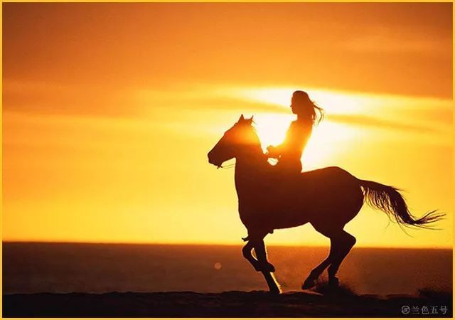 把伯乐和千里马那个重要说清楚