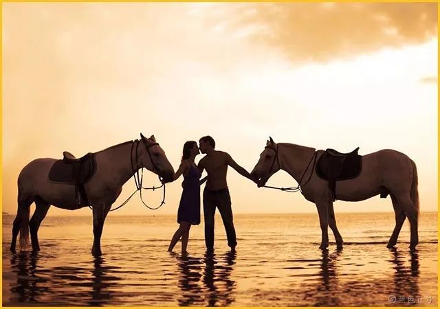 把伯乐和千里马那个重要说清楚