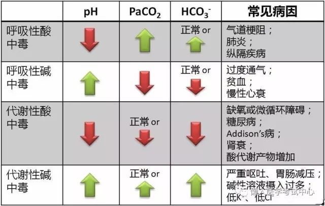 16.酸鹼平衡紊亂15.呼吸模式14.肺部聽診順序13.痰的診斷12.