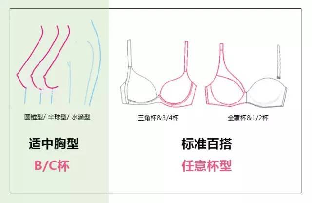 内衣b和c有什么区别_湿疹和热疹有什么区别(3)