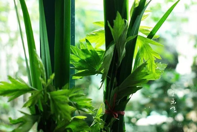 端午没艾草,少菖蒲,不值一过-看点快报