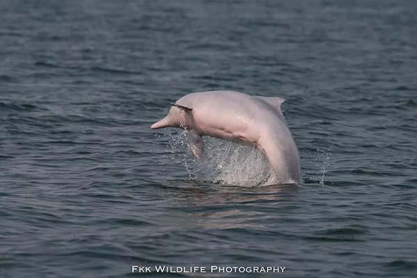 Ӱ¥ɴӰɴռ۸ ױǼұȽϺ Ʒ嵥