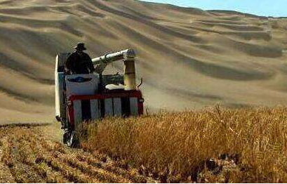 Ӱ¥ɴӰɴռ۸ ױǼұȽϺ Ʒ嵥