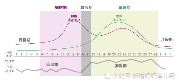 备孕妈妈排卵期性趣大增是真的吗 排卵期这样算才科学