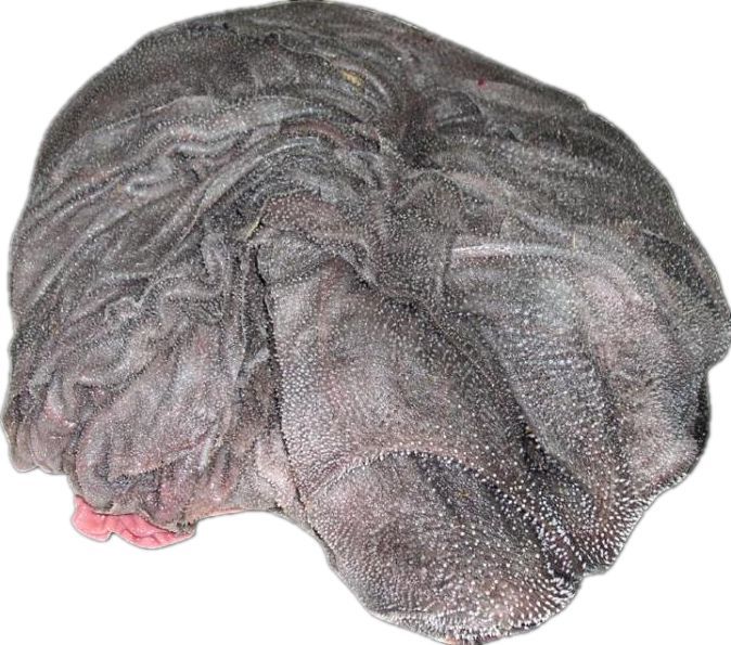 能兜住汤汁,美味~ 但是也会多好几倍的辣油哦~ 牛百叶 牛的第三个胃