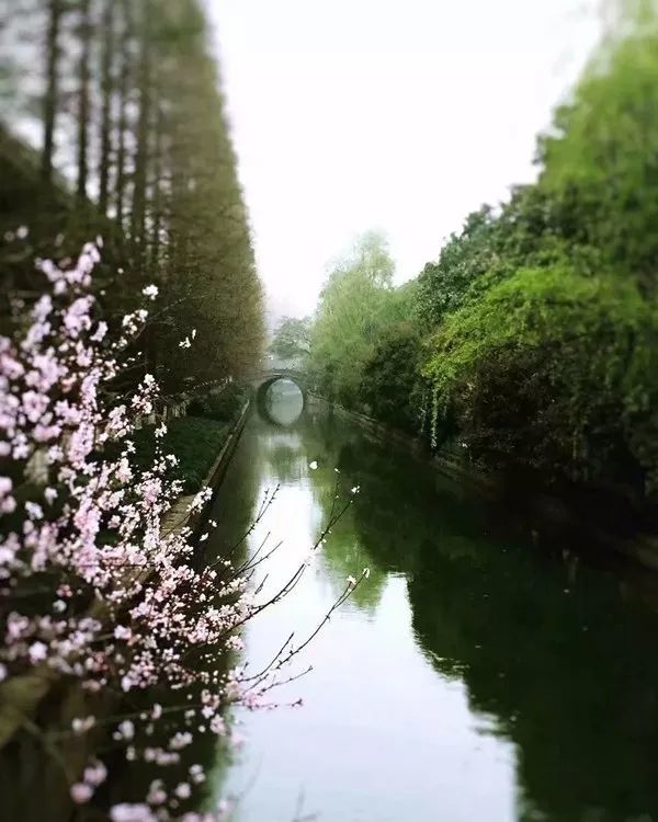 素衣閒坐,夜聽春雨