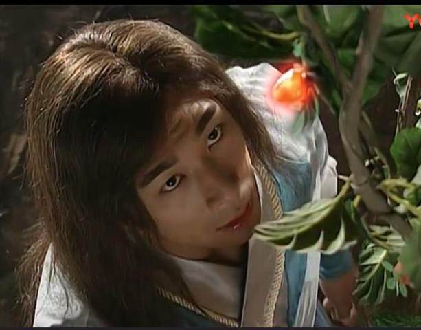 《风云》血菩提能增强功力,也是疗伤圣药,它还有一个强大的功能