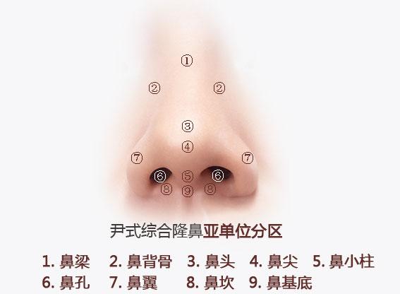 陈乔恩的鼻子也很有看头