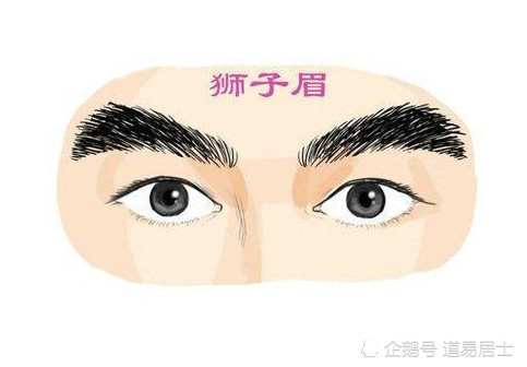 黄薄眉兄弟无靠与朋友同事关系紧张社交能力不强不利远行