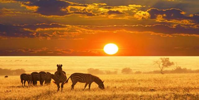 非洲有经济较为发达的国家吗?今天算是涨知识