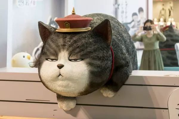 B站上线智能防挡弹幕、麦锐娱乐获数千万元