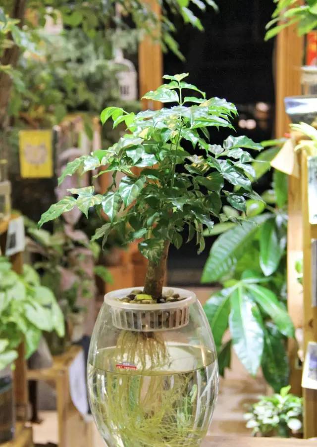 腾讯内容开放平台