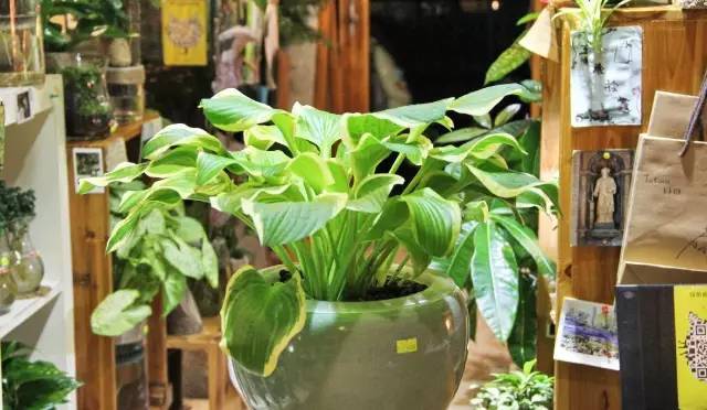 腾讯内容开放平台