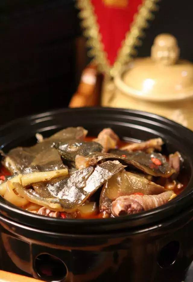 甲鱼的11种做法