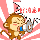 进中心城区更快!成金简快速路要来了