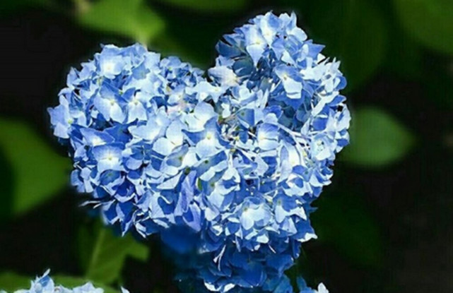 腾讯内容开放平台