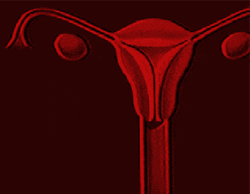 这4种妇科病,月经期看医生效果更好|妇科疾病|月经|子宫内膜息肉|卵巢