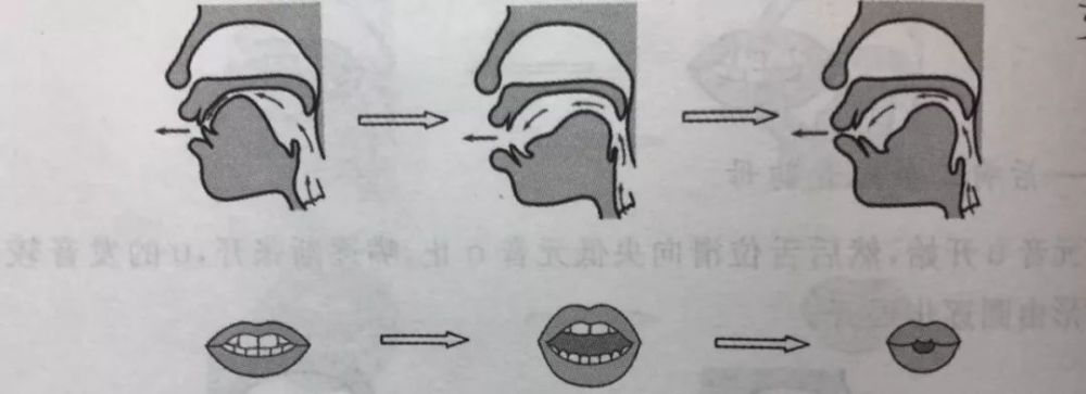 唇形變化由不圓唇到圓唇1.舌位動程由高到低再到高發音要