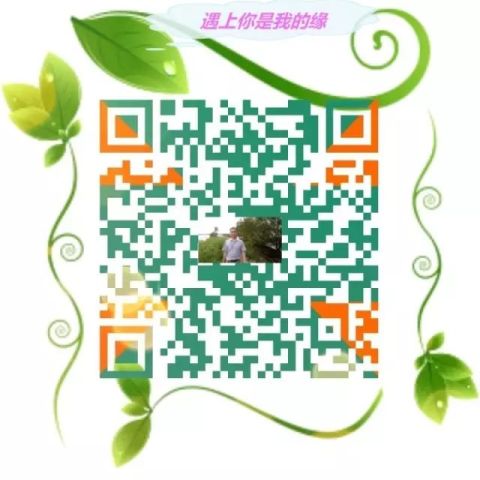 微信聊天记录恢复 QQ聊天记录愎 手机图片恢复