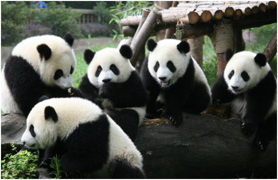 武汉2020人口数在全_2020年清明假日全国旅游接待总人数4325.4万人次,同比