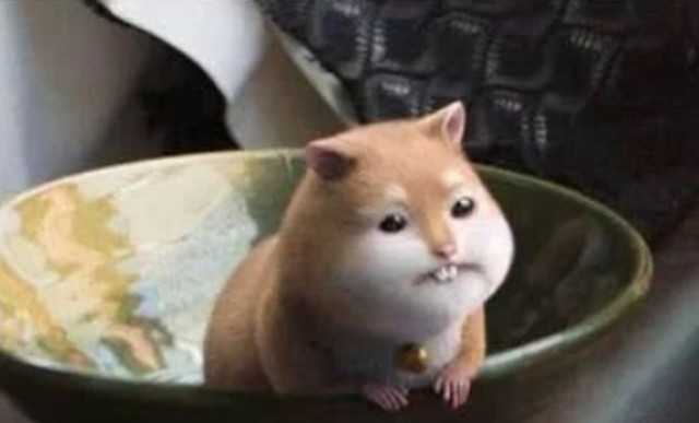 还记得《扶摇》里阮经天的萌宠元宝吗?它惹怒扶摇差点被生生火烤!