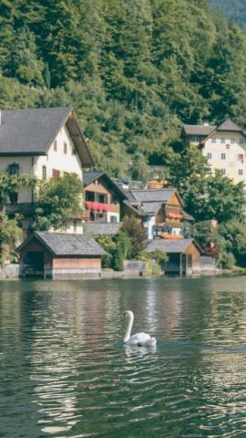 经典的人生哲理句子,句句精辟,令人深思!