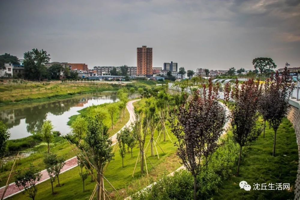 沈丘这个河湿地公园即将建好沈丘人身价要涨多图