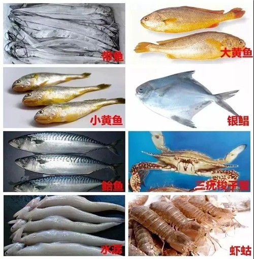 海鲜期货市场风云再起