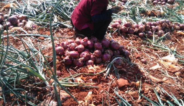 阿司匹林的作用与功效 伟大的天才 广西二手车交易
