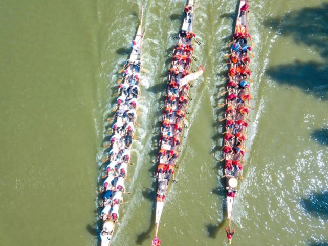 五月十五 过端午 歹仙桃划龙舟 敲锣鼓 腾讯网