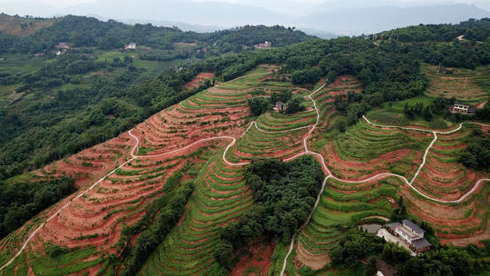 天生活数十年 泸州会龙村如今依靠土地信托挣钱